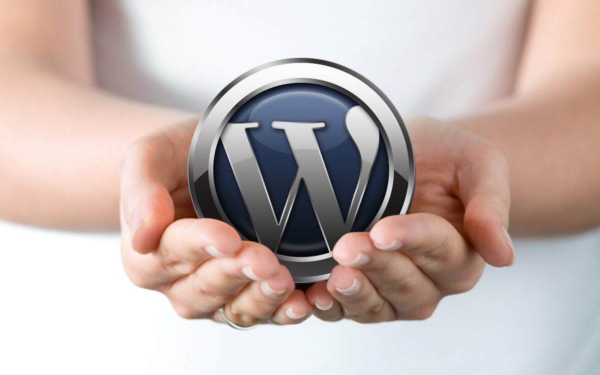 WordPress Site Optimization in 7 Easy Steps