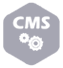 Custom CMS