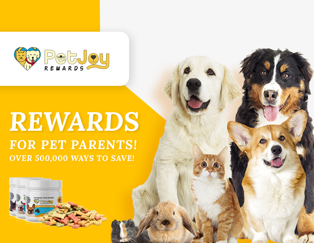 Atlanta, GA  Design Company Portfolio